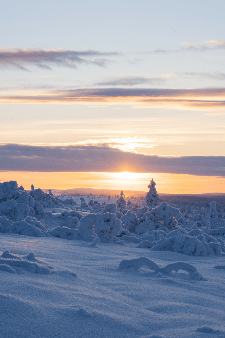 Tammikuun tunturimaisema