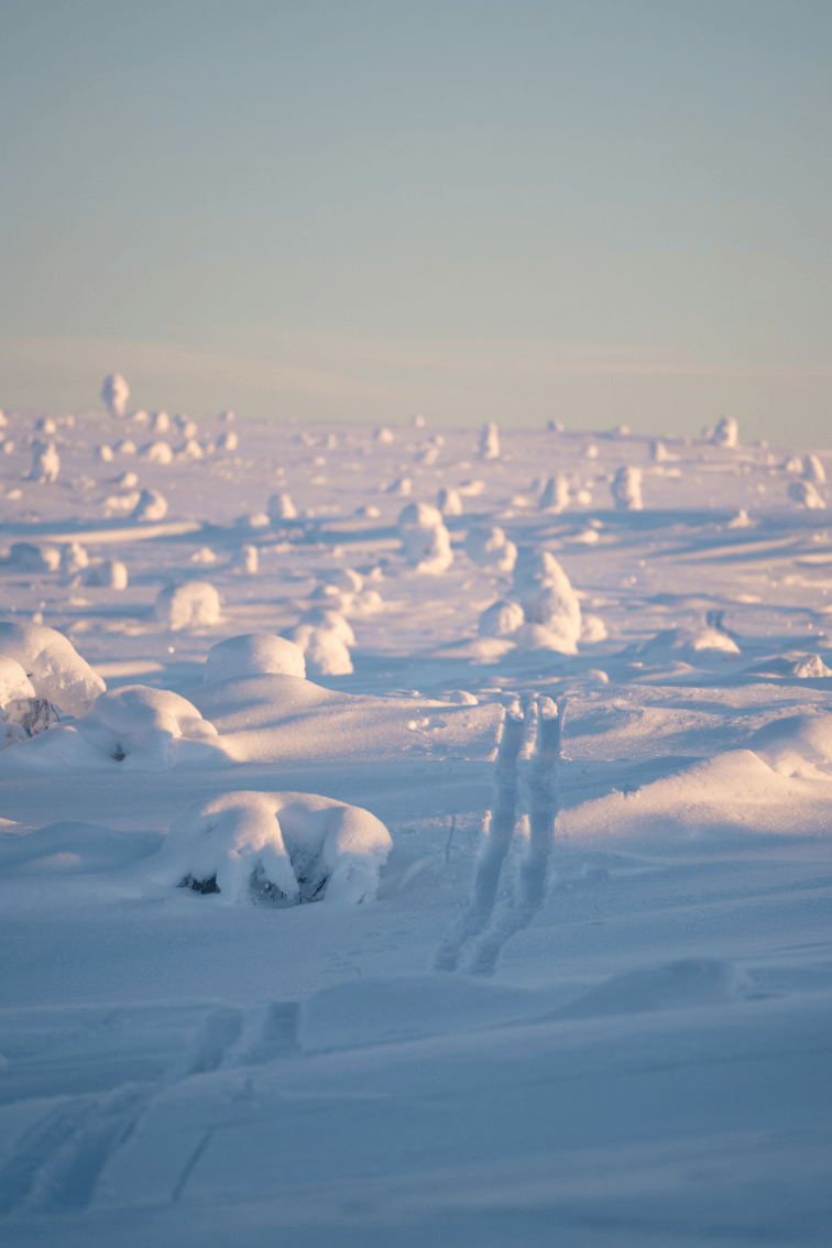 Hiihtojäljet tunturissa