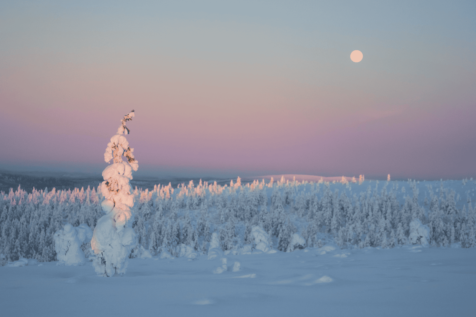 Tunturimaisema ja kuutamo